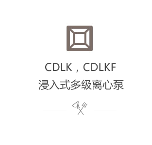 CDLK，CDLKF浸入式多級(jí)離心泵